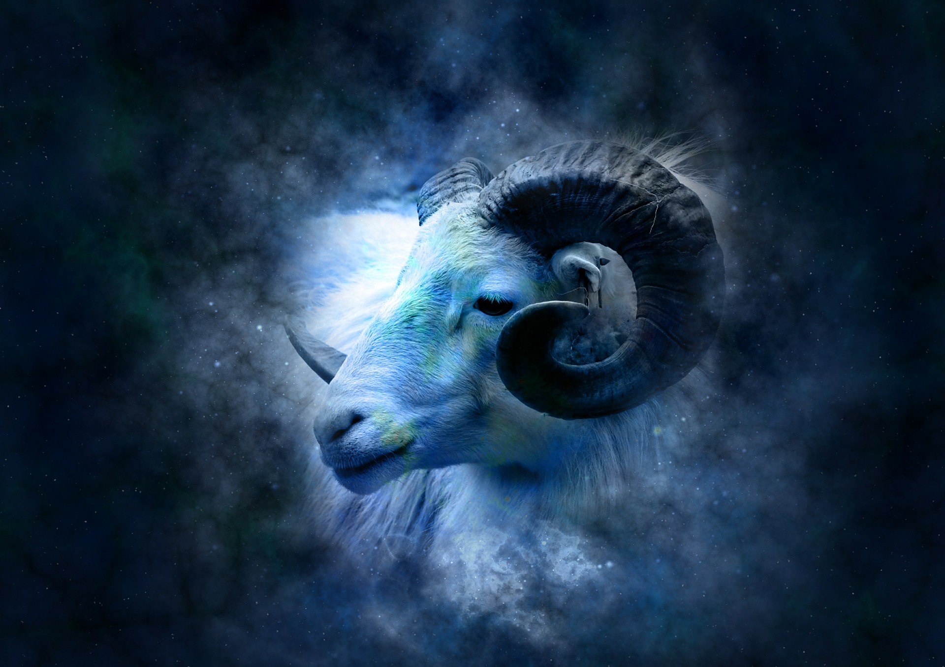 Que animal es cada signo del zodiaco - Signo Zodiacal - Horoscopo de